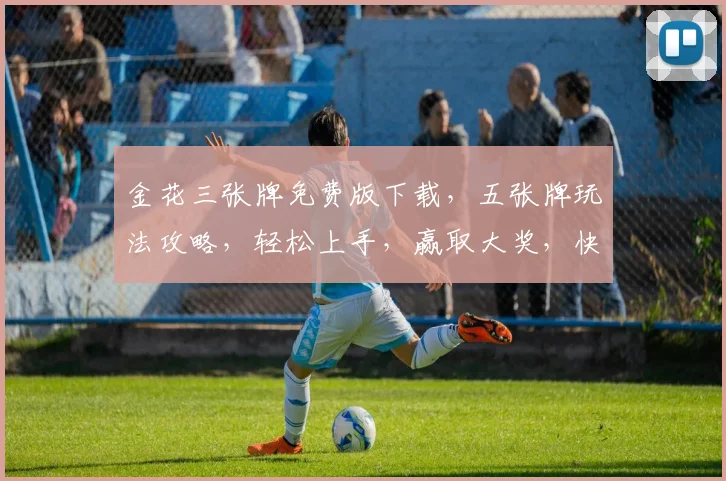 金花三张牌免费版下载，五张牌玩法攻略，轻松上手，赢取大奖，快来下载体验
