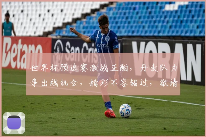 世界杯预选赛激战正酣，丹麦队力争出线机会，精彩不容错过，敬请期待