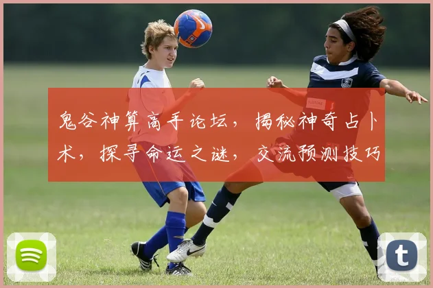 鬼谷神算高手论坛，揭秘神奇占卜术，探寻命运之谜，交流预测技巧，共享神秘智慧