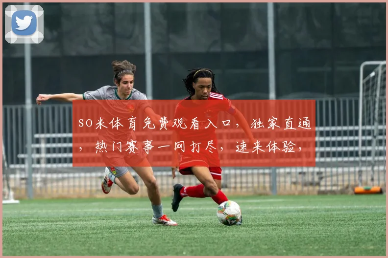 so米体育免费观看入口，独家直通，热门赛事一网打尽，速来体验，不容错过，三个惊喜等你来发现
