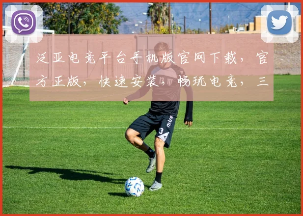 泛亚电竞平台手机版官网下载，官方正版，快速安装，畅玩电竞，三步轻松获取
